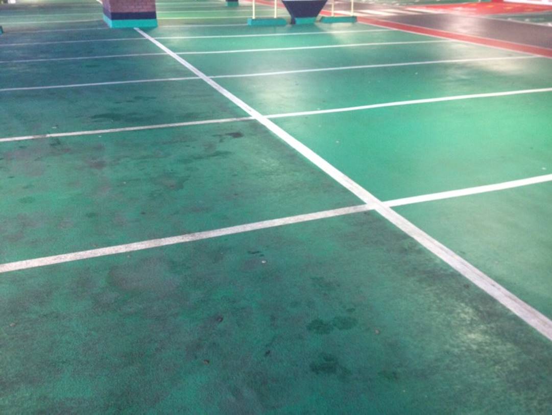 SpecialForce Cleaning ფოტო 2
